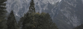 26_dma6454_