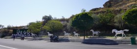 DSC03170