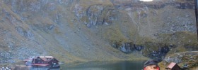 IMG_6499